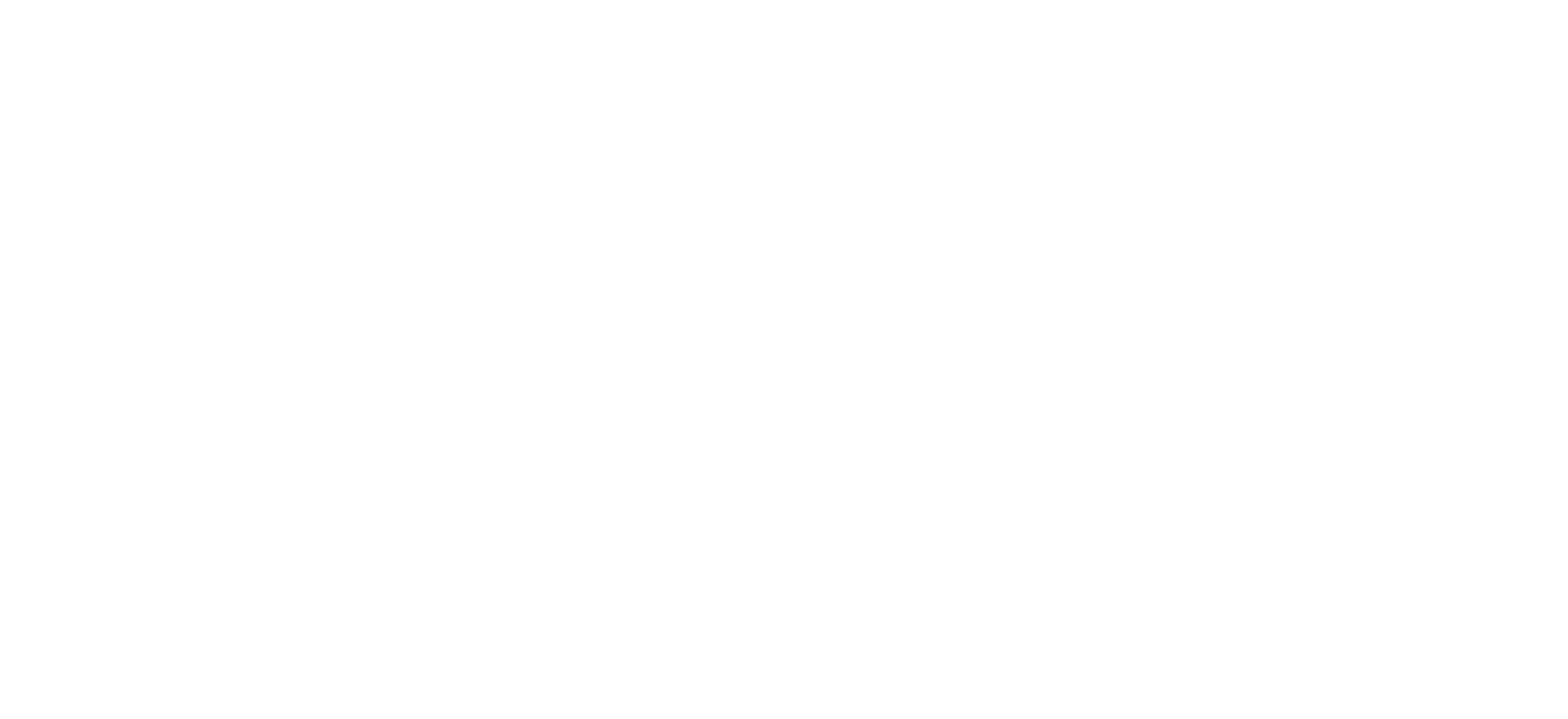 logo light